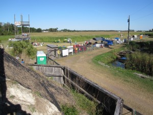 Scotts Maze 2009