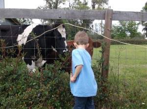 Brody visiting and picking from my Blackberry Patch