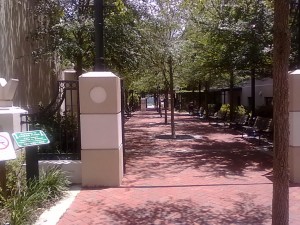 chess park