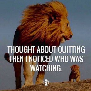 dont quit