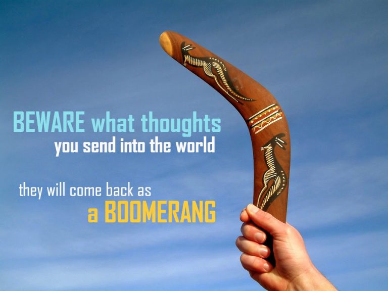 The Boomerang Effect Daisy Raisler